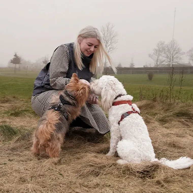 Hundeseler^Hurtta Casual Y-Sele ECO | OUTLET