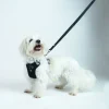 Hundeseler^Hurtta Weekend Warrior Sele | OUTLET