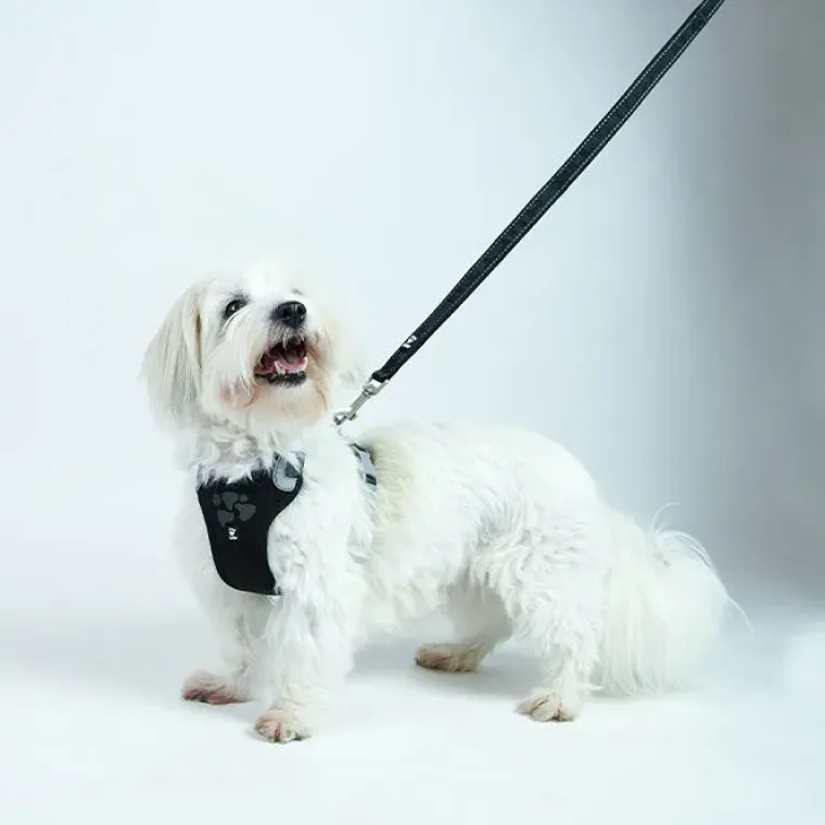 Hundeseler^Hurtta Weekend Warrior Sele | OUTLET