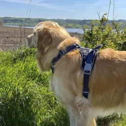 Hundeseler^Hurtta Weekend Warrior Sele | OUTLET