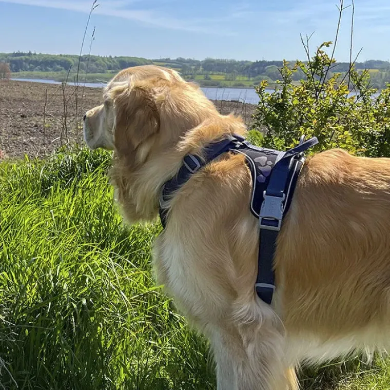 Hundeseler^Hurtta Weekend Warrior Sele | OUTLET