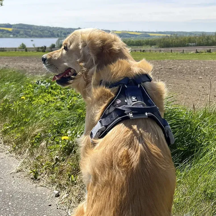 Hundeseler^Hurtta Weekend Warrior Sele | OUTLET