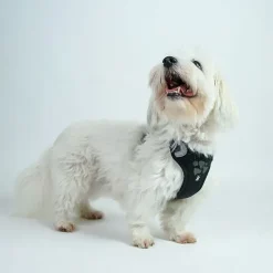 Hundeseler^Hurtta Weekend Warrior Sele | OUTLET