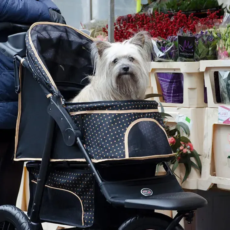 Hundeklapvogn^InnoPet Adventure | Hundeklapvogn