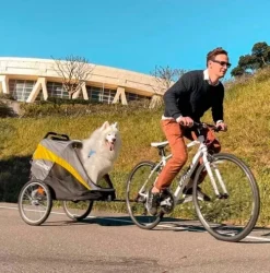 Hundeklapvogn|Udstillingsvogne Og Tilbehør^InnoPet Hercules 2.0 | Cykeltrailer