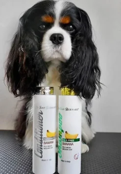 Hundeshampoo Og Hundebalsam^Iv san Bernard ISB Banana Shampoo SLS-fri