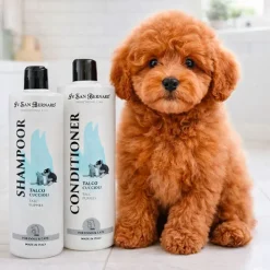 Hvalpeshampoo|Hundeshampoo Og Hundebalsam^Iv san Bernard ISB Talco Junior Shampoo | Hvalpeshampoo
