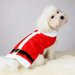 Julekurven^Companion Julemandstøj til hund