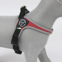 Efterårsklar|Løbeturen^Tre Ponti Justerbar | hundesele m. refleks