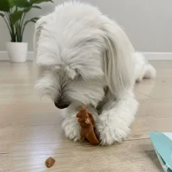 Godbidder Og Gnaveben^Knash Animals Dental Chew