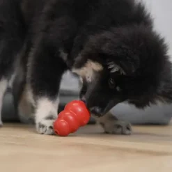 Aktivitetslegetøj Til Hunde|Latex- Og Gummilegetøj^KONG Original
