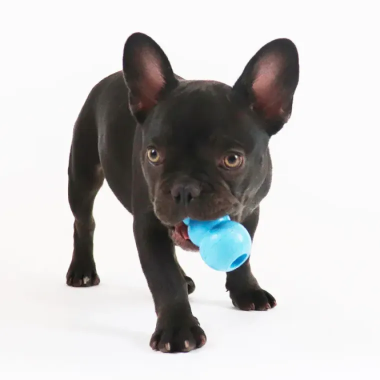 Aktivitetslegetøj Til Hunde|Hvalpelegetøj^KONG Puppy Small| hvalpelegetøj