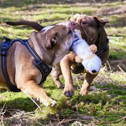 Plyslegetøj Til Hunde|Kong Hundelegetøj^KONG Scrunch Knots dyr