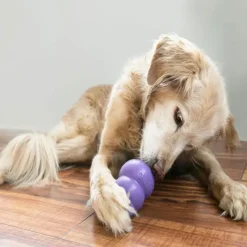 Aktivitetslegetøj Til Hunde|Kong Hundelegetøj^KONG Senior