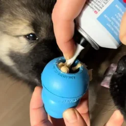 Aktivitetslegetøj Til Hunde|Kong Hundelegetøj^KONG Stuff'n lever pasta