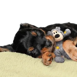 Plyslegetøj Til Hunde|Hvalpelegetøj^KONG Wild Knots Bears | Bamse med reb