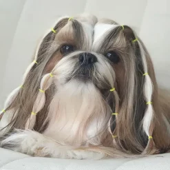 Hårpynt Til Hunde^Lainee Wrapping Bands Lainee Wrap elastik 8mm | 850 stk