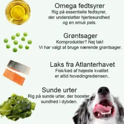 Hundemad^Little Big Paw Steamed Atlantic Salmon |Vådfoder 85g