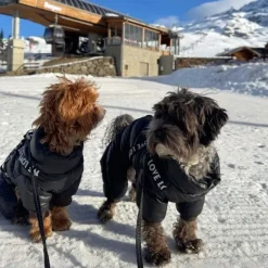 ❄️Klar Til Vintervejret|Efterårsklar^Cotonshoppen LOVE Flyverdragt med sele