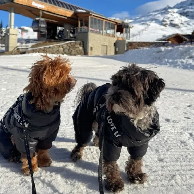❄️Klar Til Vintervejret|Efterårsklar^Cotonshoppen LOVE Flyverdragt med sele