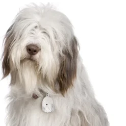Charms Med Hunderacer Og Andre Dyr^MyFamily My Family | Hundetegn Bearded Collie | OUTLET