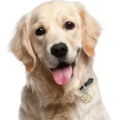 Hundetegn|Charms Med Hunderacer Og Andre Dyr^MyFamily My Family | Hundetegn Golden Retriever/Doodle
