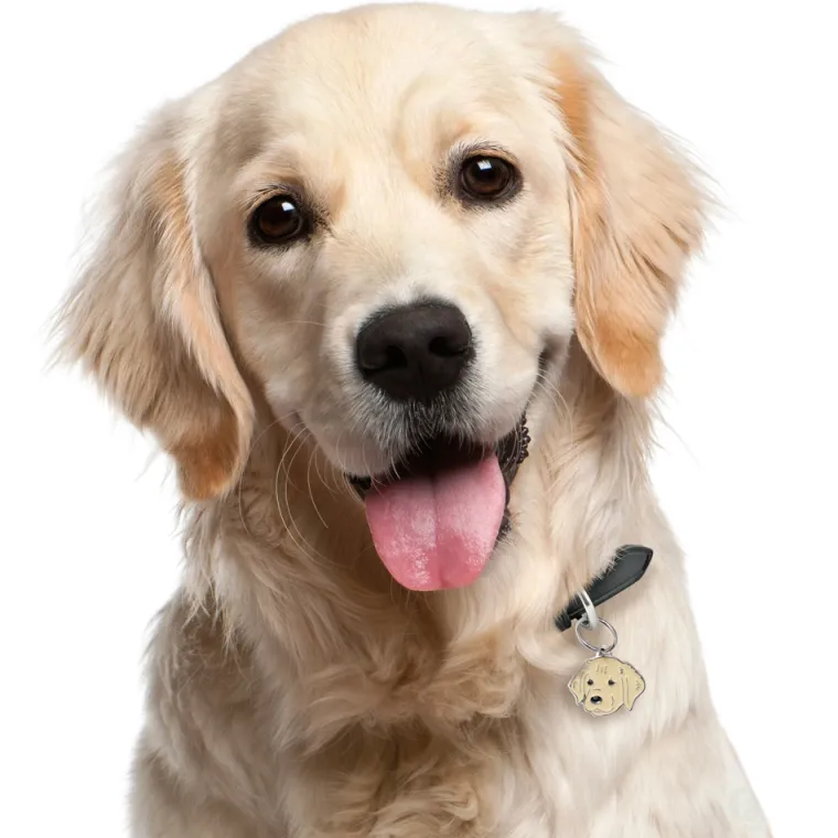 Hundetegn|Charms Med Hunderacer Og Andre Dyr^MyFamily My Family | Hundetegn Golden Retriever/Doodle
