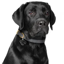 Hundetegn|Charms Med Hunderacer Og Andre Dyr^MyFamily My Family | Hundetegn Labrador