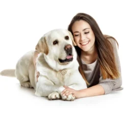 Hundetegn|Charms Med Hunderacer Og Andre Dyr^MyFamily My Family | Hundetegn Labrador