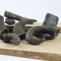Single Protein & Foder & Godbidder|Godbidder Og Gnaveben^NATURBEN Buffalo Horn