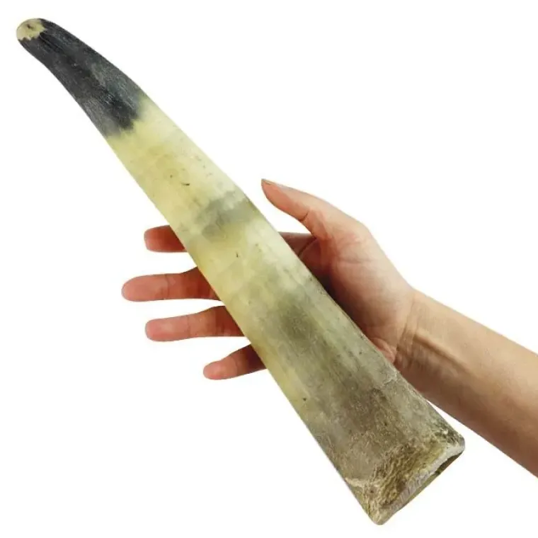 Single Protein & Foder & Godbidder|Godbidder Og Gnaveben^NATURBEN Cattle Horn