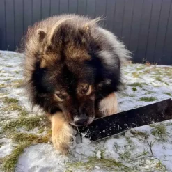 Godbidder Og Gnaveben^Njord Pet Oksestrimler |1 stk