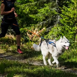 Hundeseler|Løbeturen^Non-stop dogwear Freemotion Harness | OUTLET