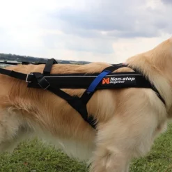 Hundeseler|Løbeturen^Non-stop dogwear Freemotion Harness | OUTLET