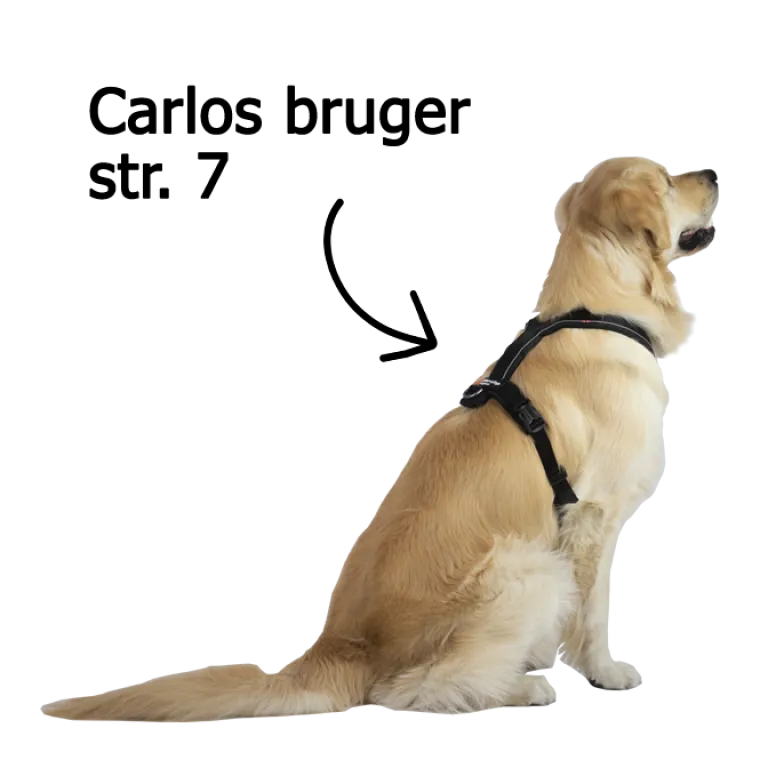 Hundeseler|Løbeturen^Non-stop dogwear Line Harness 5.0 | OUTLET