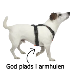 Hundeseler|Løbeturen^Non-stop dogwear Line Harness 5.0 | OUTLET