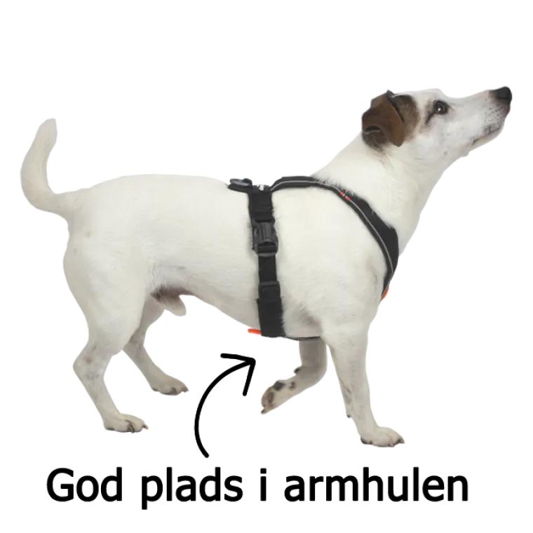 Hundeseler|Løbeturen^Non-stop dogwear Line Harness 5.0 | OUTLET