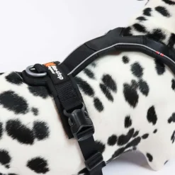Hundeseler|Løbeturen^Non-stop dogwear Line Harness 5.0 | OUTLET