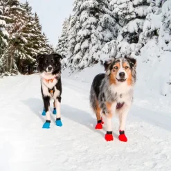 Hundeferien|Efterårsklar^Non-stop dogwear Long Distance bootie 4pk | OUTLET Blå