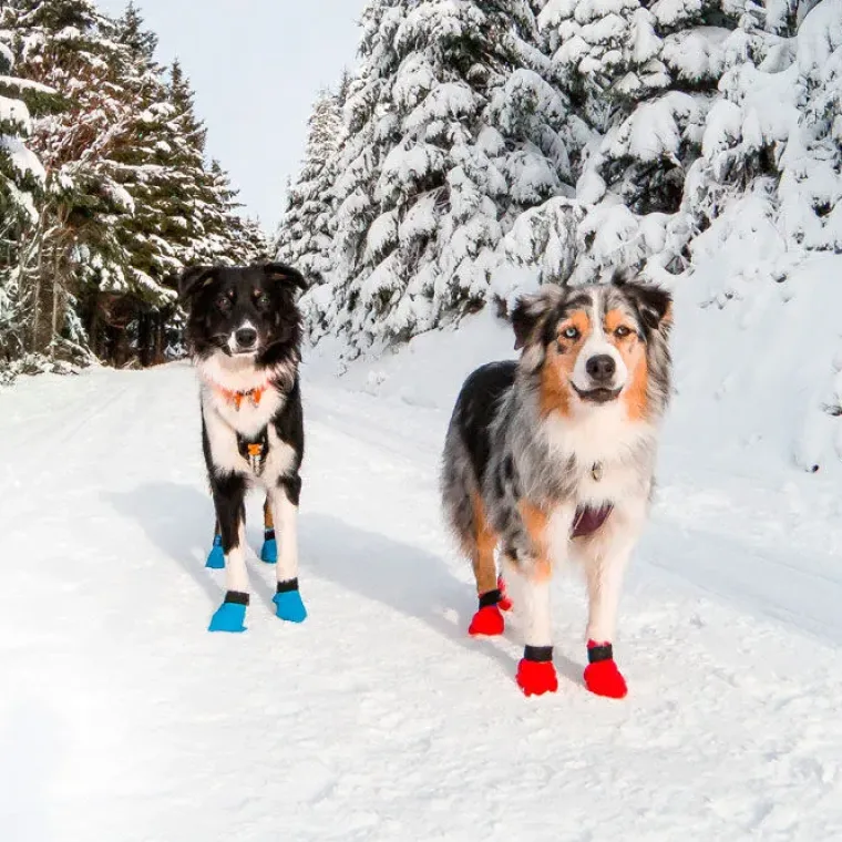 Hundeferien|Efterårsklar^Non-stop dogwear Long Distance bootie 4pk | OUTLET Blå