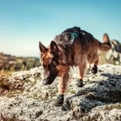 Hundesko^Non-stop dogwear protector bootie | 4 stk | OUTLET