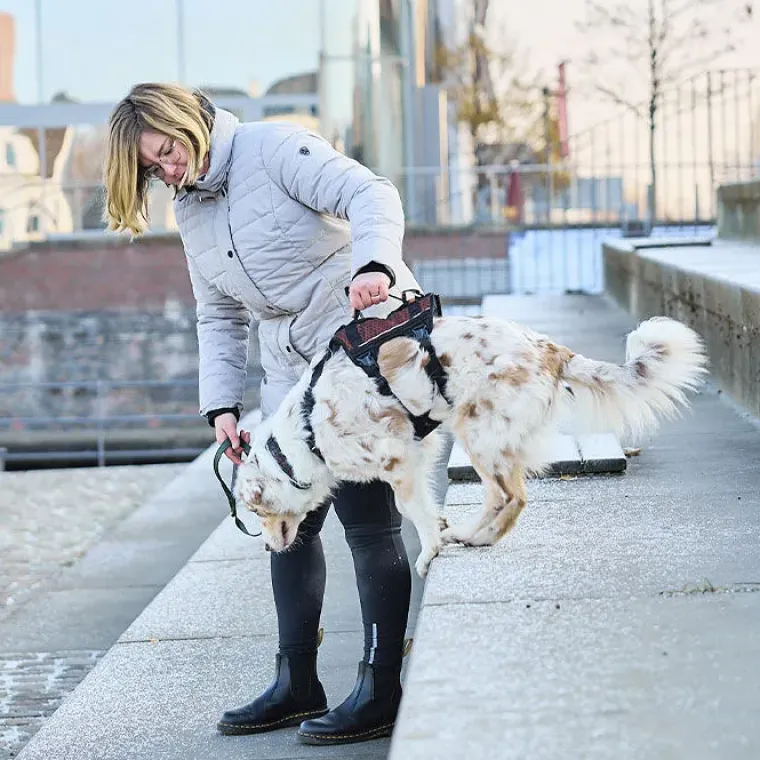 Hundeseler|Løbeturen^Non-stop dogwear Rock Harness Long | OUTLET