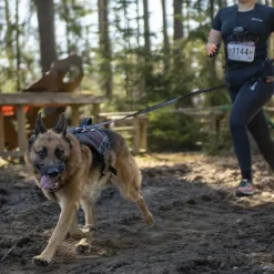 Hundeseler|Løbeturen^Non-stop dogwear Rock Harness Long | OUTLET