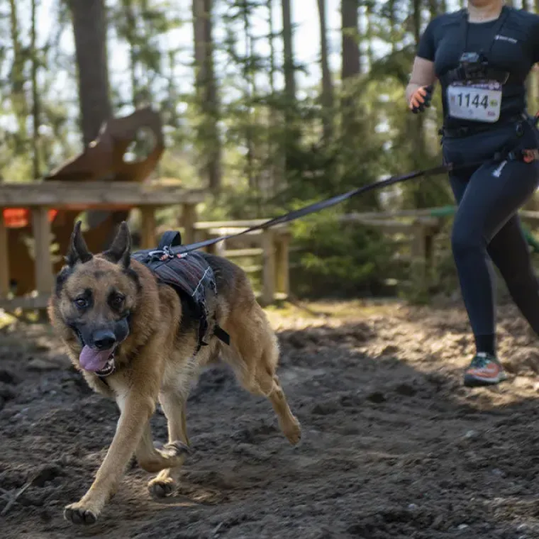 Hundeseler|Løbeturen^Non-stop dogwear Rock Harness Long | OUTLET