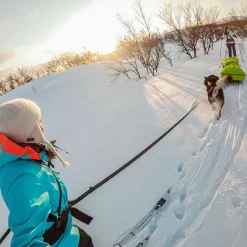 Løbeturen|Hundesnor^Non-stop dogwear Touring Bungee Leash | OUTLET