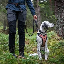 Løbeturen|Hundesnor^Non-stop dogwear Touring Bungee Adjustable | OUTLET