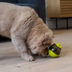 Aktivitetslegetøj Til Hunde|Ollipet Hundelegetøj^Nordic Paws Aktivitetsæg