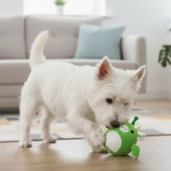 Bolde|Plyslegetøj Til Hunde^Nordic Paws Flompie Drage