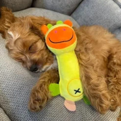 Plyslegetøj Til Hunde|Hvalpelegetøj^Nordic Paws Langhals Bamser | 17cm