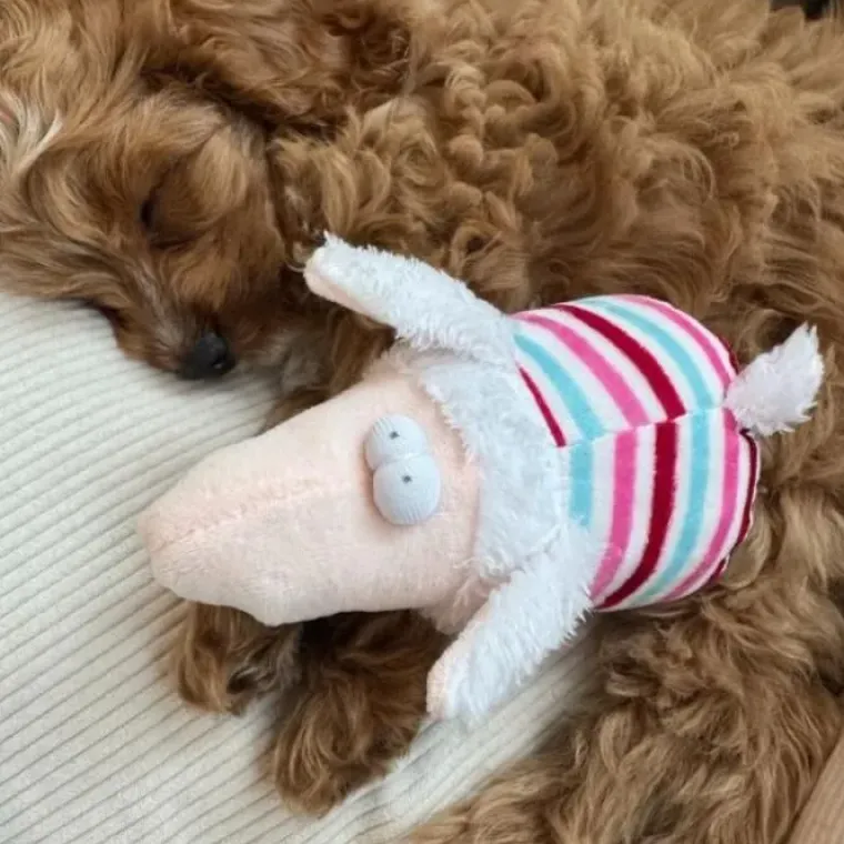 Plyslegetøj Til Hunde|Hvalpelegetøj^Nordic Paws Woolly, 17cm | OUTLET